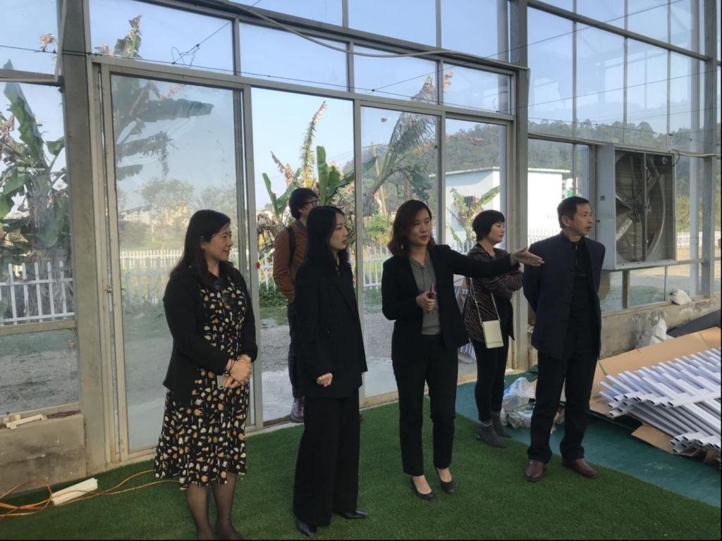 风韵犹存熟妇一区二区三区