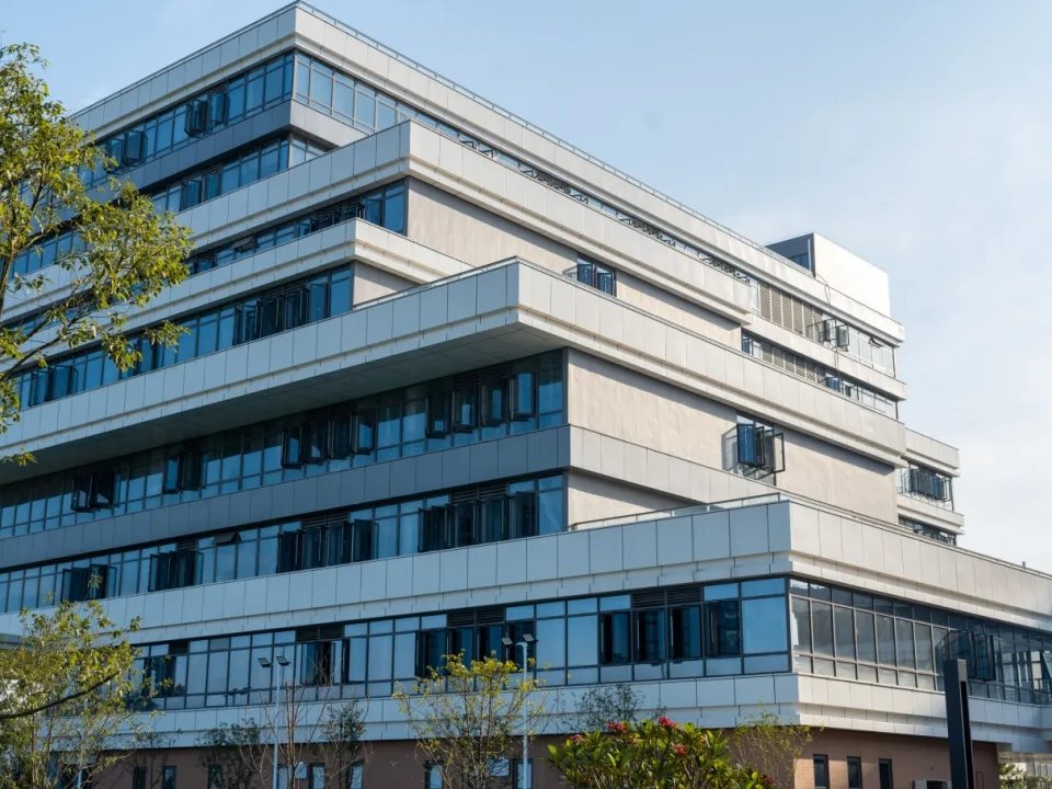 风韵犹存熟妇一区二区三区