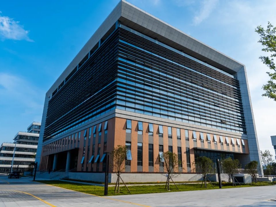 风韵犹存熟妇一区二区三区