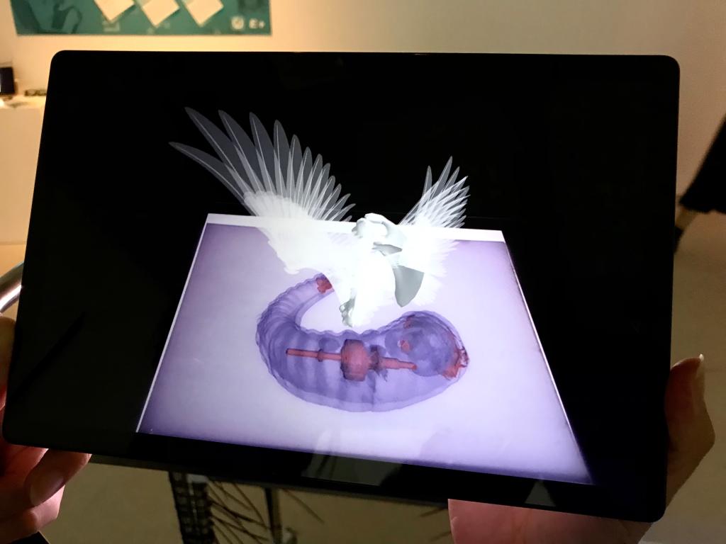 风韵犹存熟妇一区二区三区