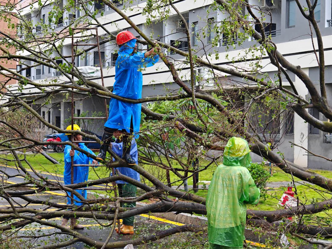 风韵犹存熟妇一区二区三区
