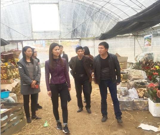 风韵犹存熟妇一区二区三区