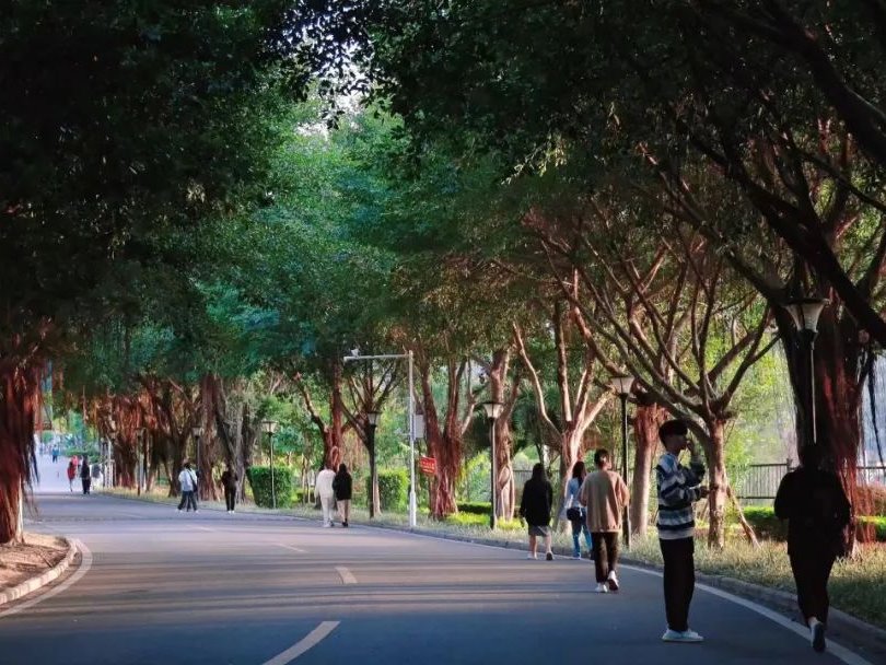 风韵犹存熟妇一区二区三区