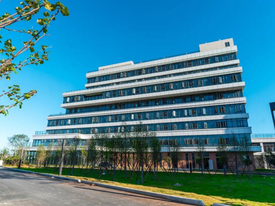 风韵犹存熟妇一区二区三区