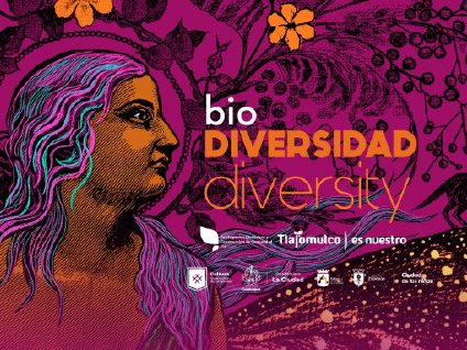 风韵犹存熟妇一区二区三区