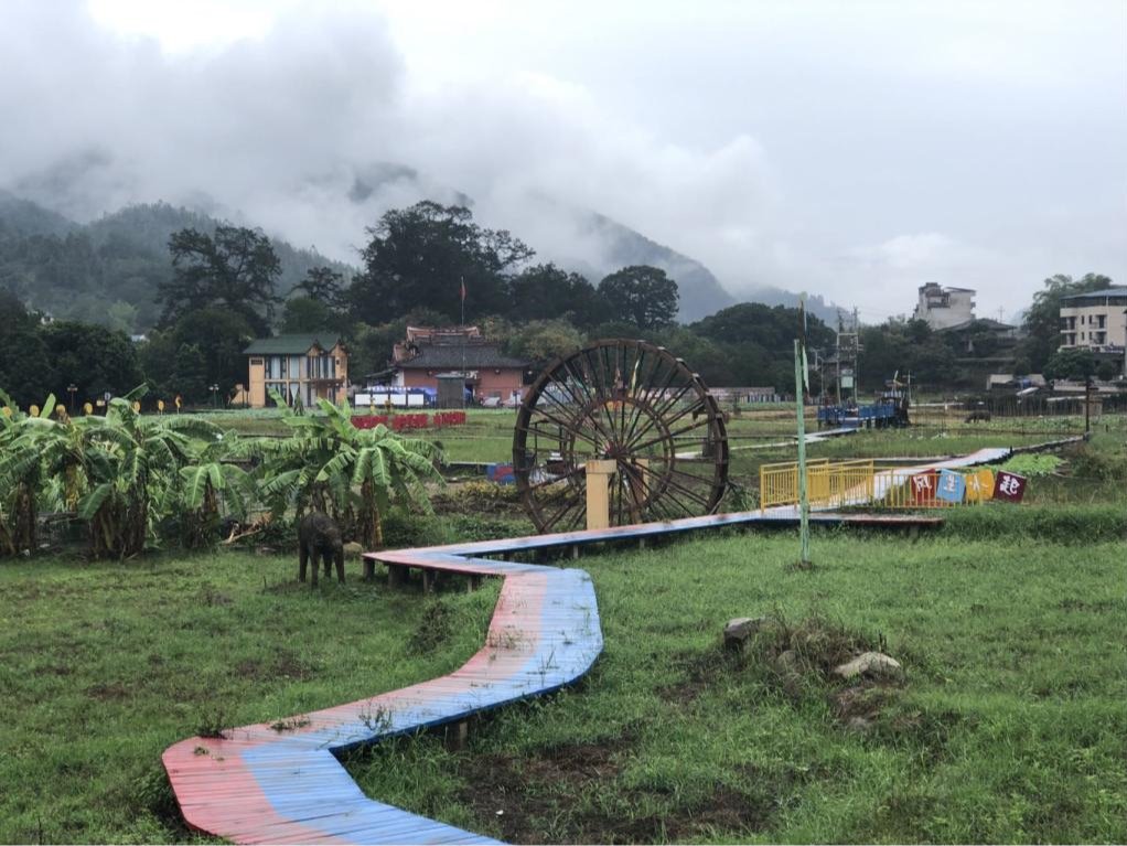 风韵犹存熟妇一区二区三区