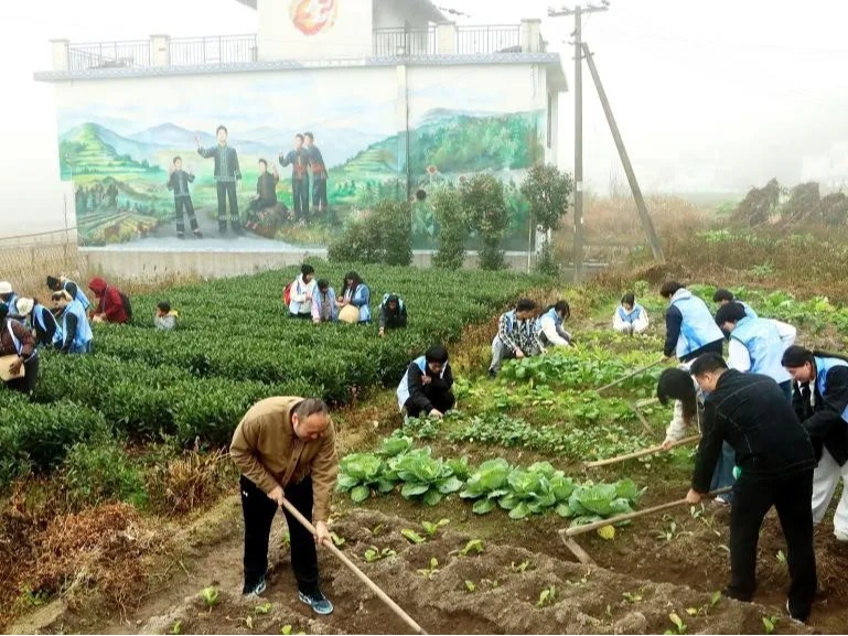 风韵犹存熟妇一区二区三区