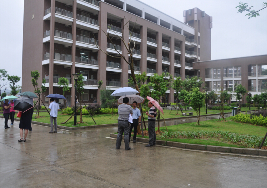 风韵犹存熟妇一区二区三区
