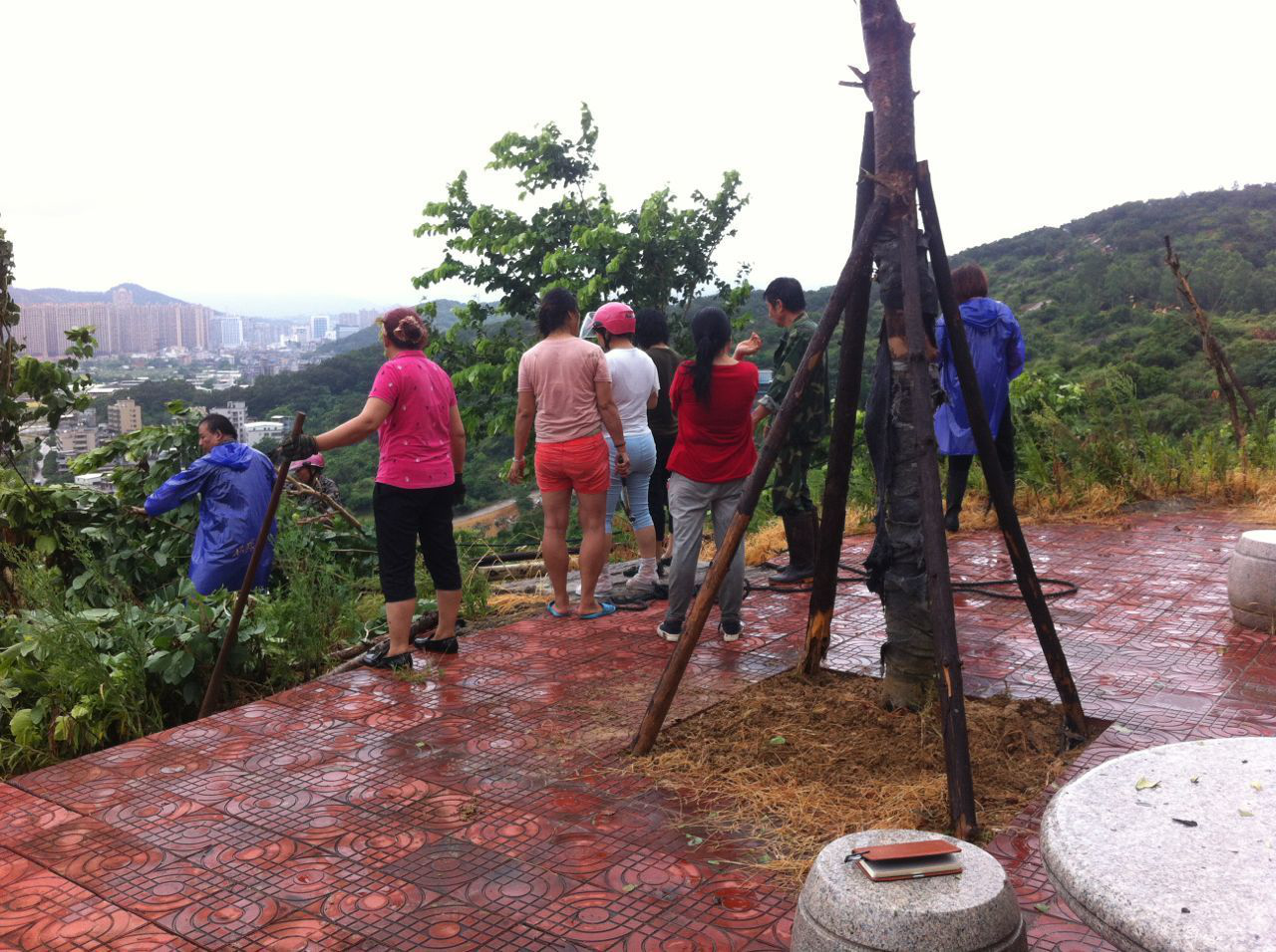 风韵犹存熟妇一区二区三区