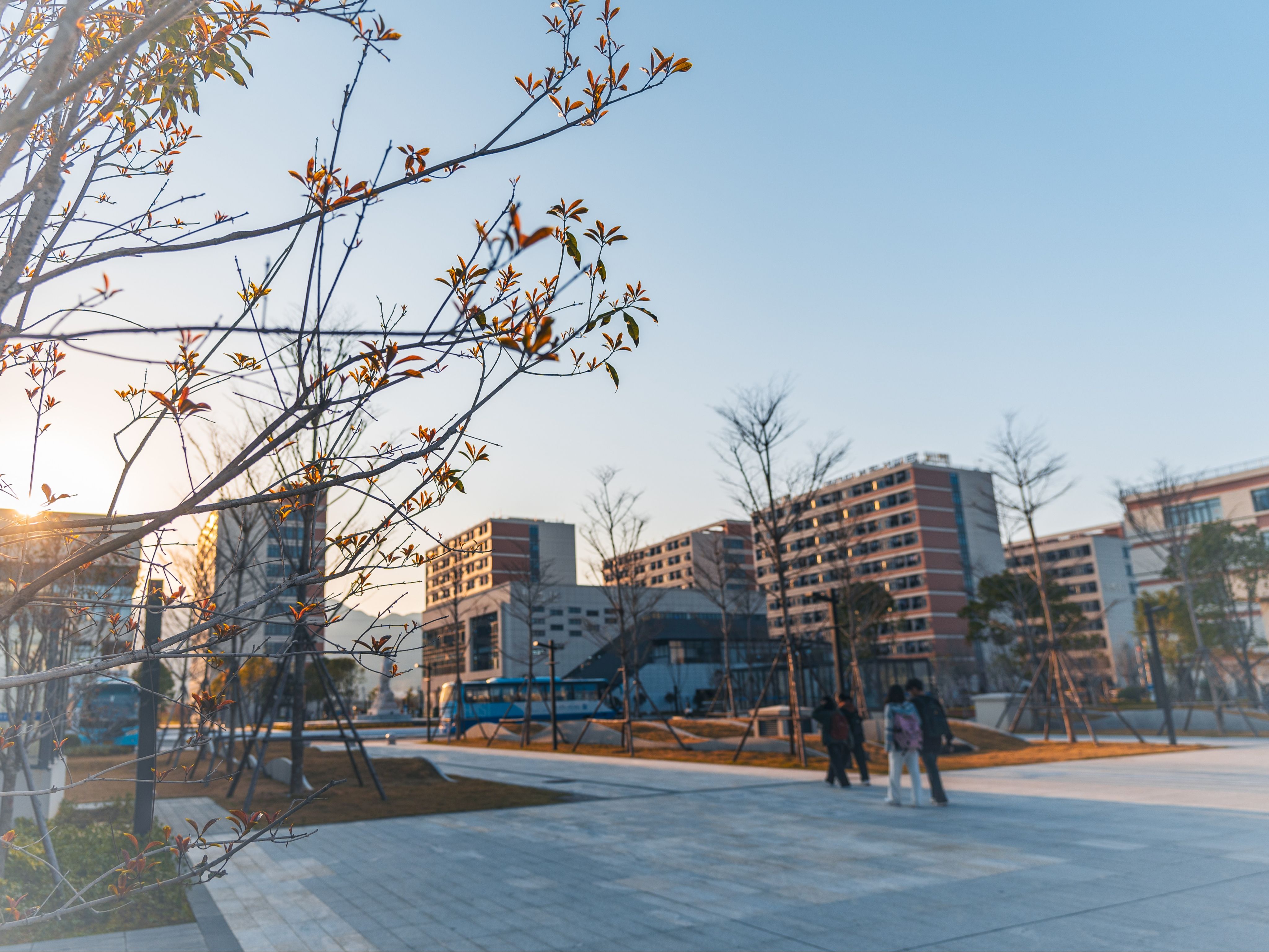 风韵犹存熟妇一区二区三区