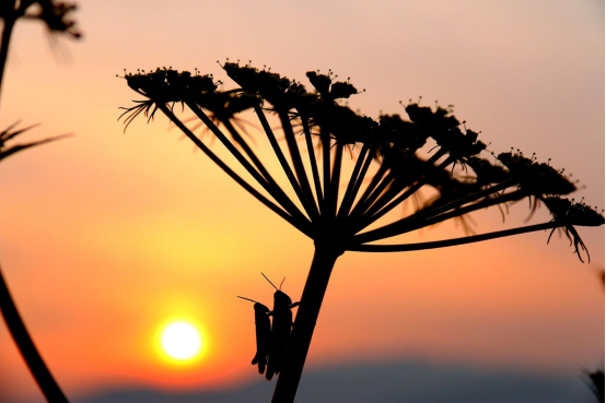 风韵犹存熟妇一区二区三区