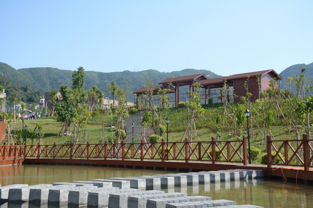 风韵犹存熟妇一区二区三区