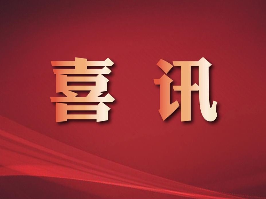 风韵犹存熟妇一区二区三区