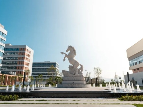 风韵犹存熟妇一区二区三区