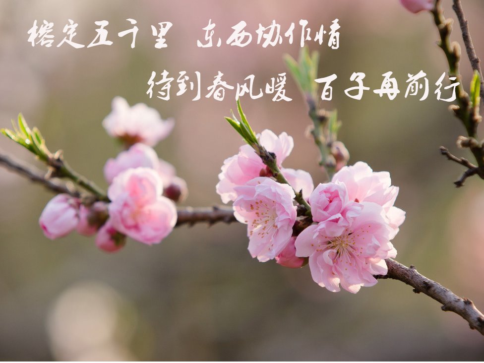 风韵犹存熟妇一区二区三区