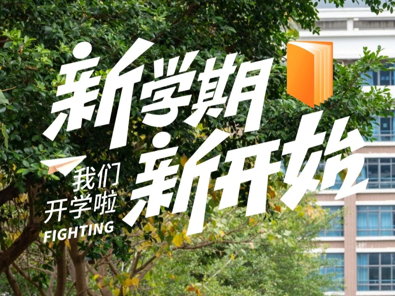 风韵犹存熟妇一区二区三区