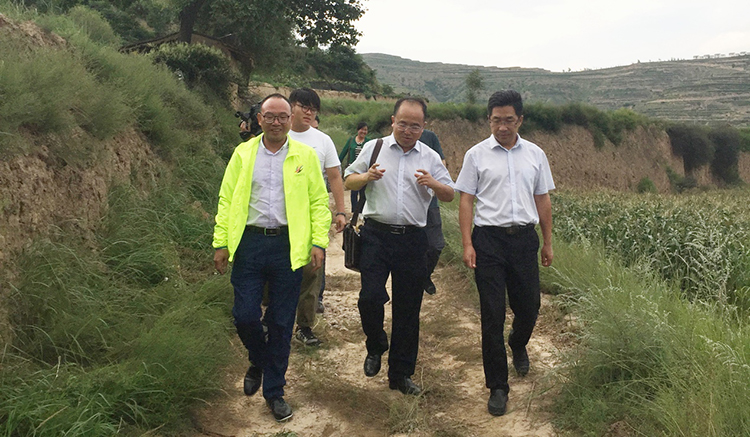 风韵犹存熟妇一区二区三区