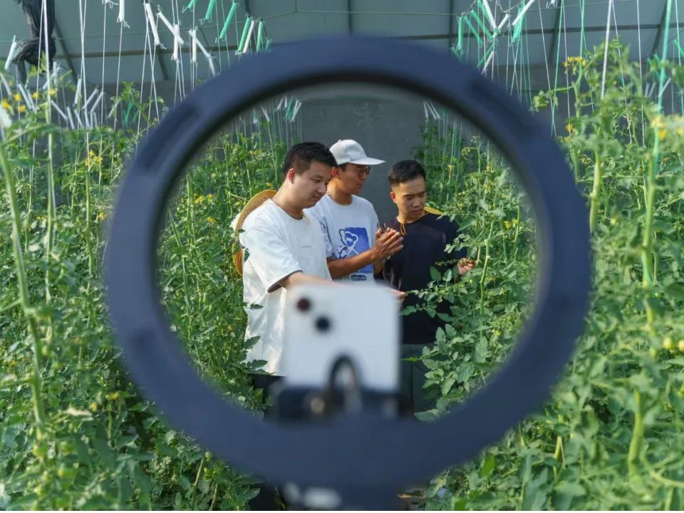 风韵犹存熟妇一区二区三区