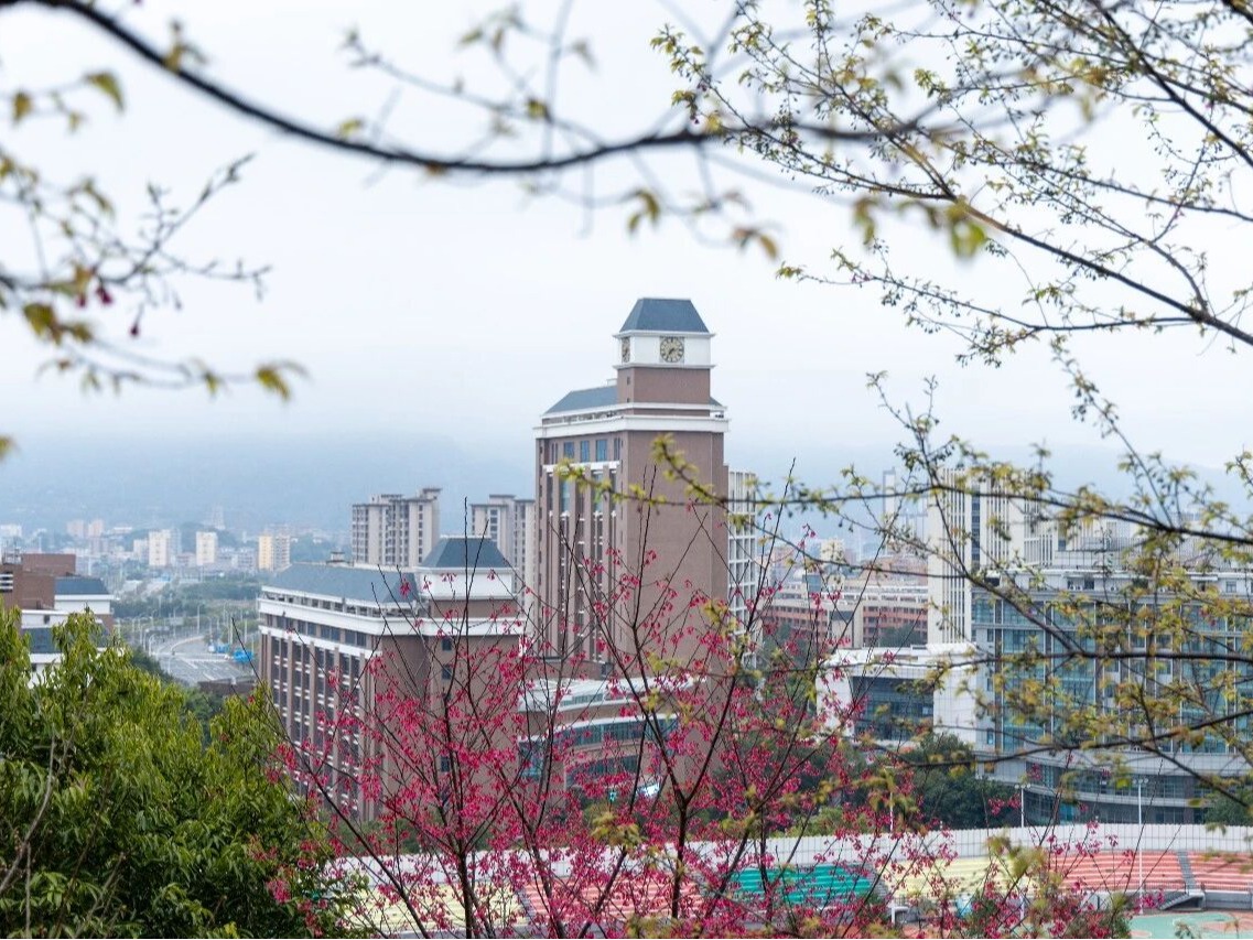 风韵犹存熟妇一区二区三区