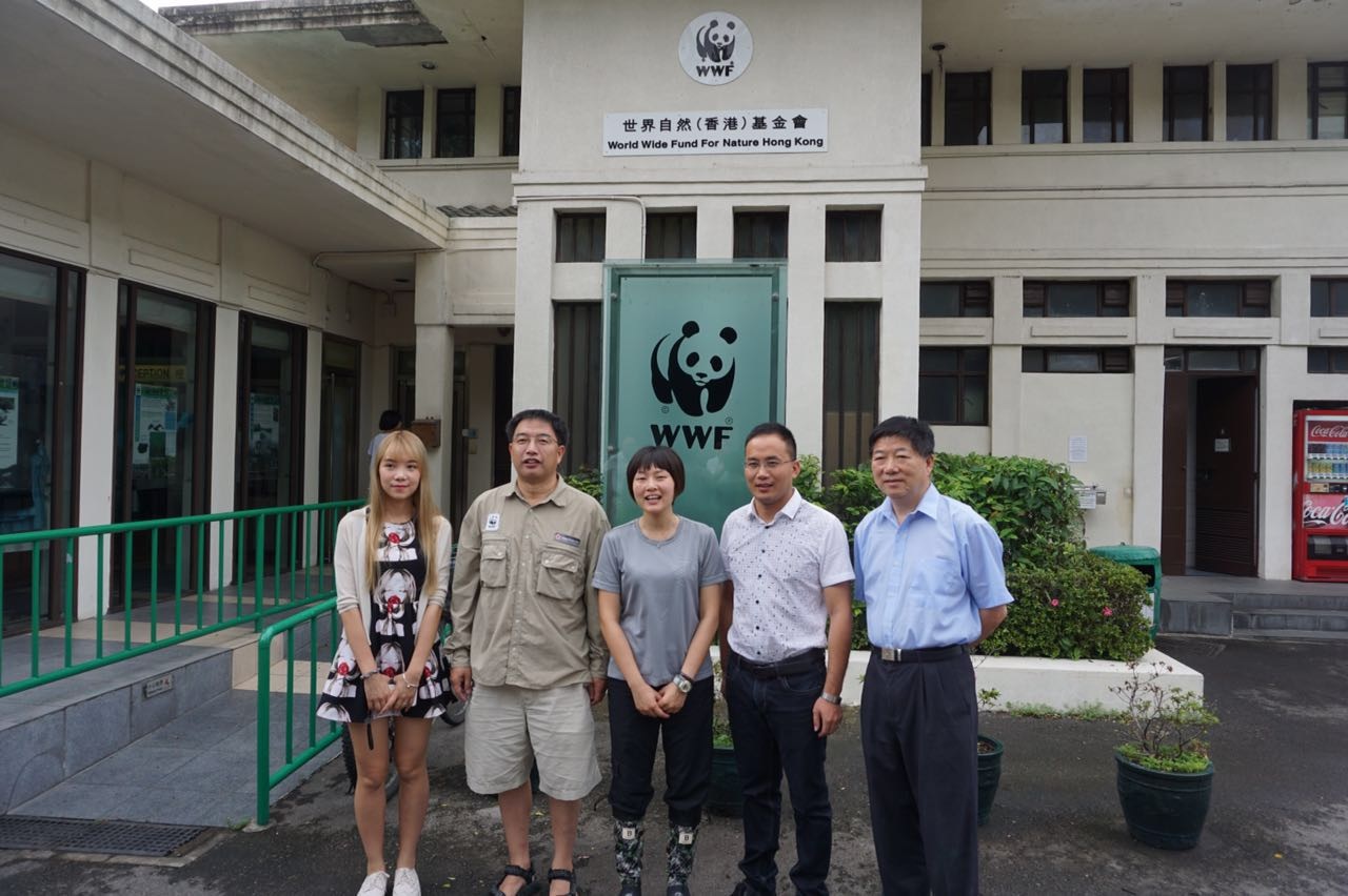 风韵犹存熟妇一区二区三区