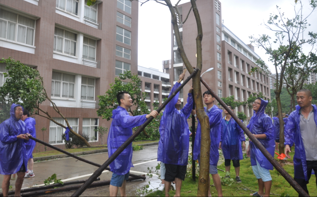 风韵犹存熟妇一区二区三区