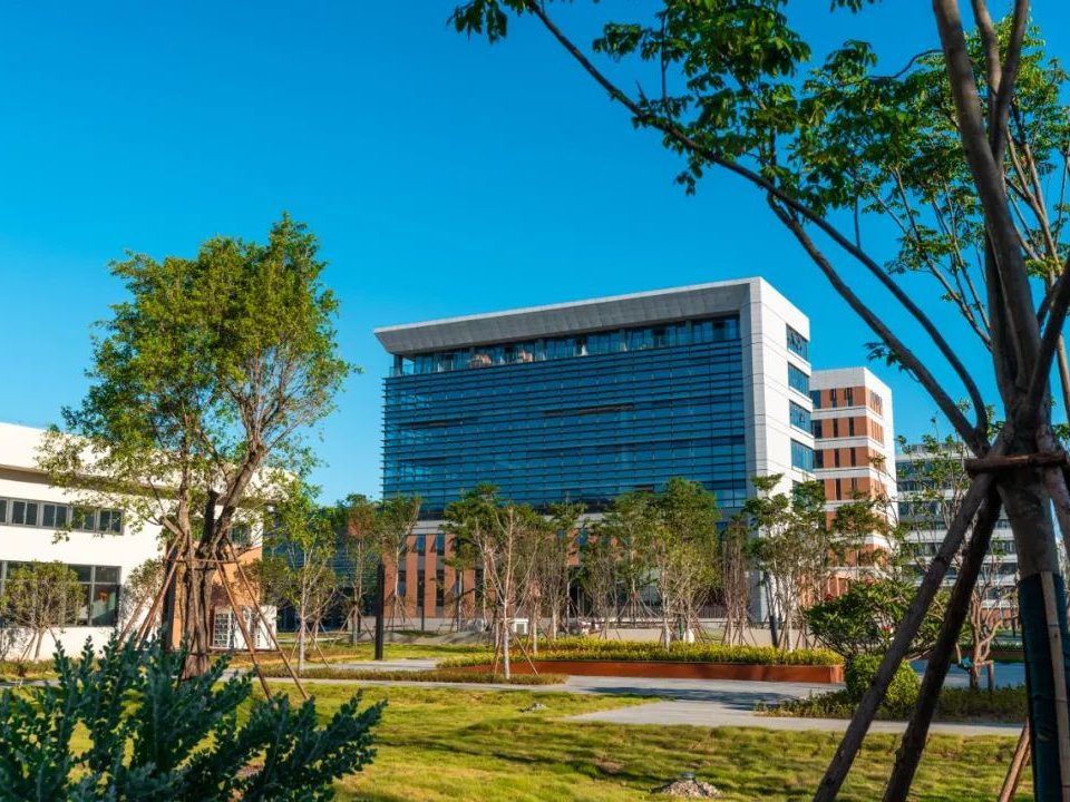 风韵犹存熟妇一区二区三区