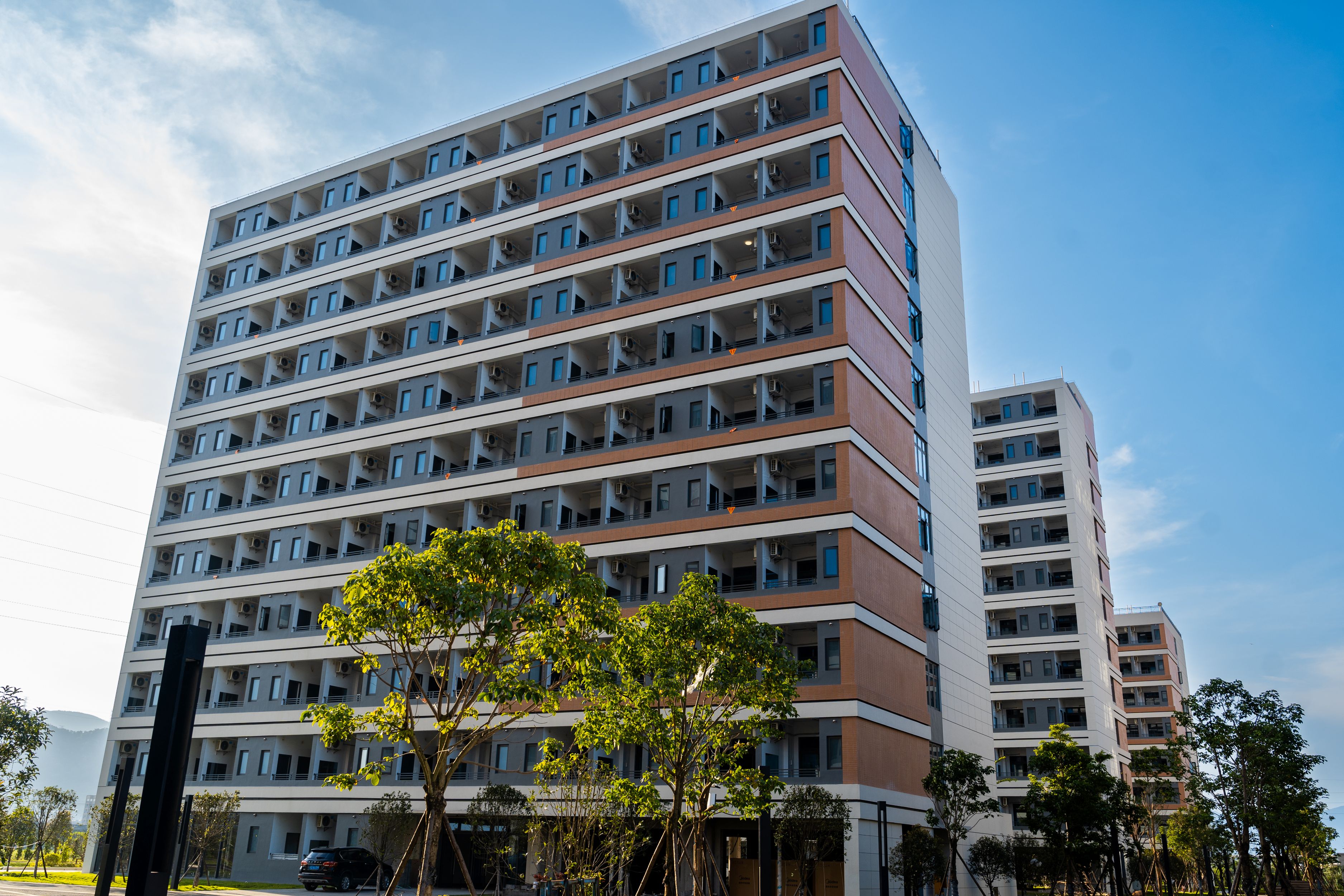 风韵犹存熟妇一区二区三区