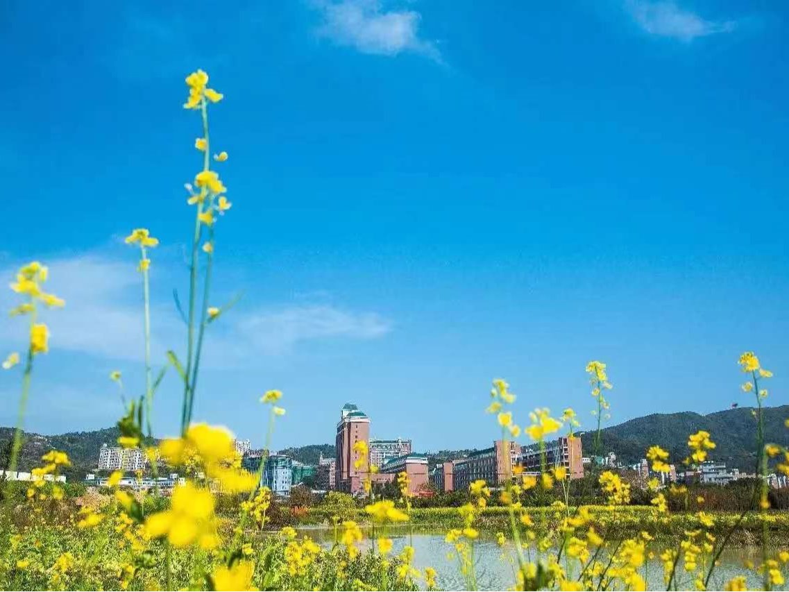 风韵犹存熟妇一区二区三区