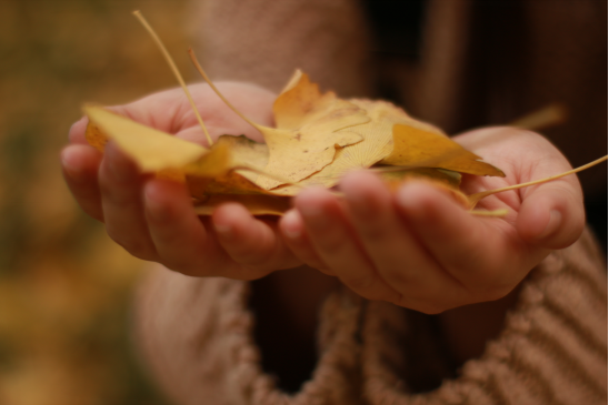 风韵犹存熟妇一区二区三区