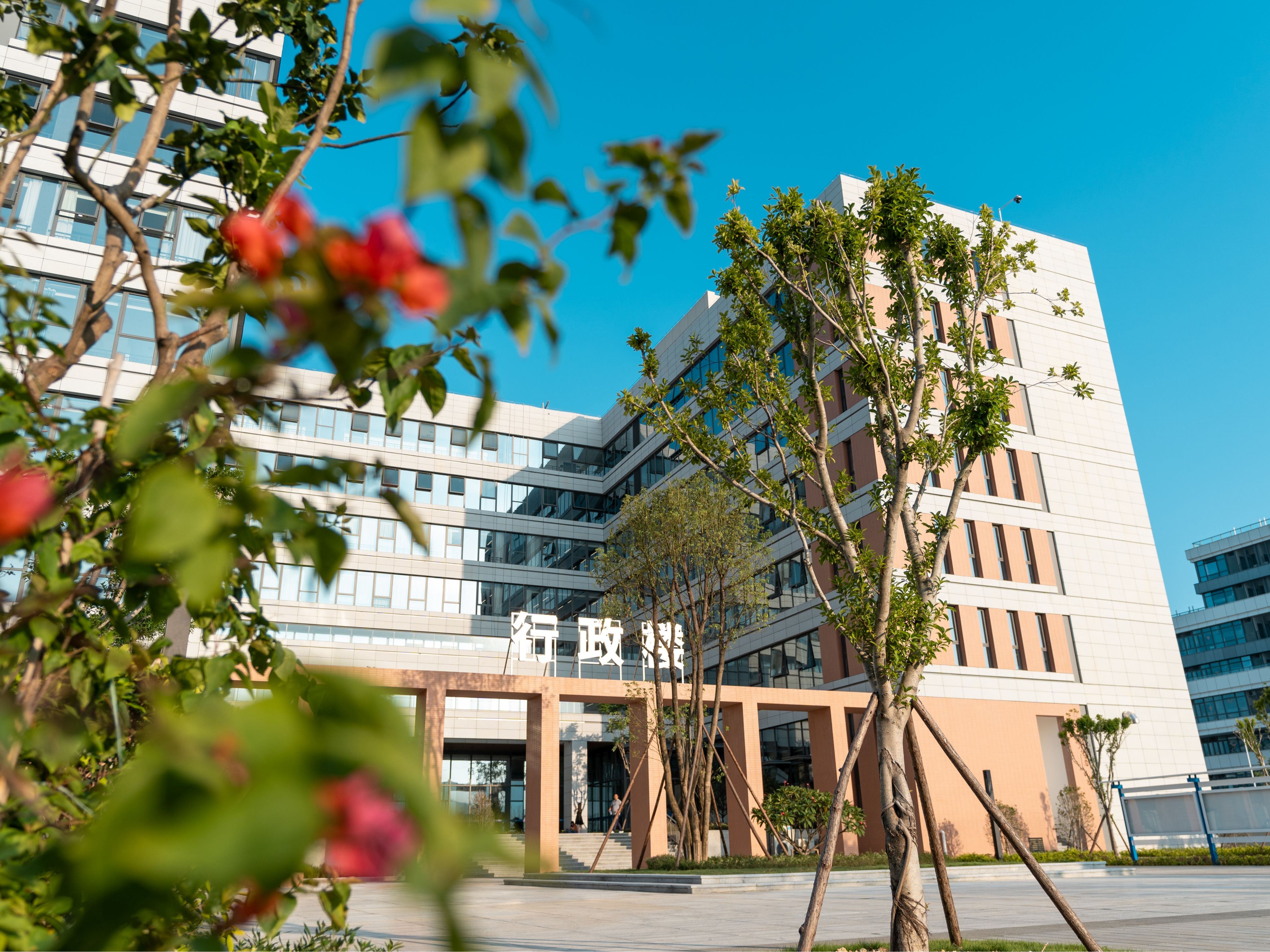 风韵犹存熟妇一区二区三区