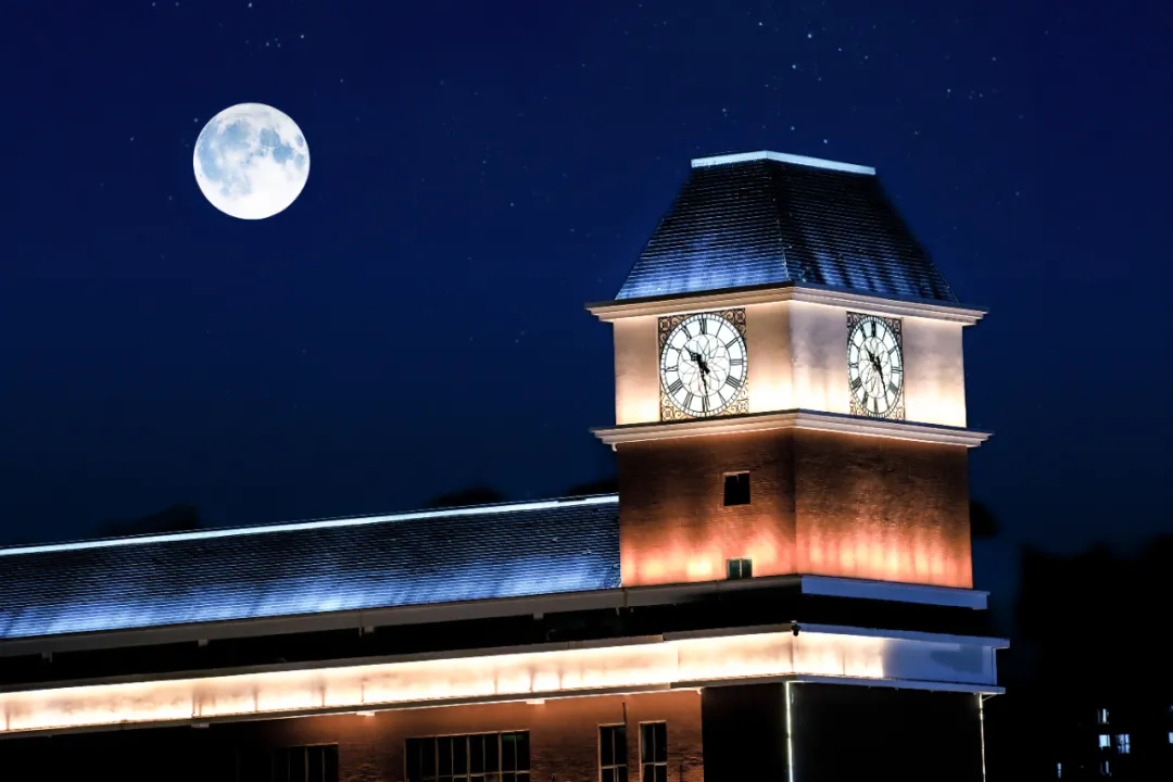 风韵犹存熟妇一区二区三区