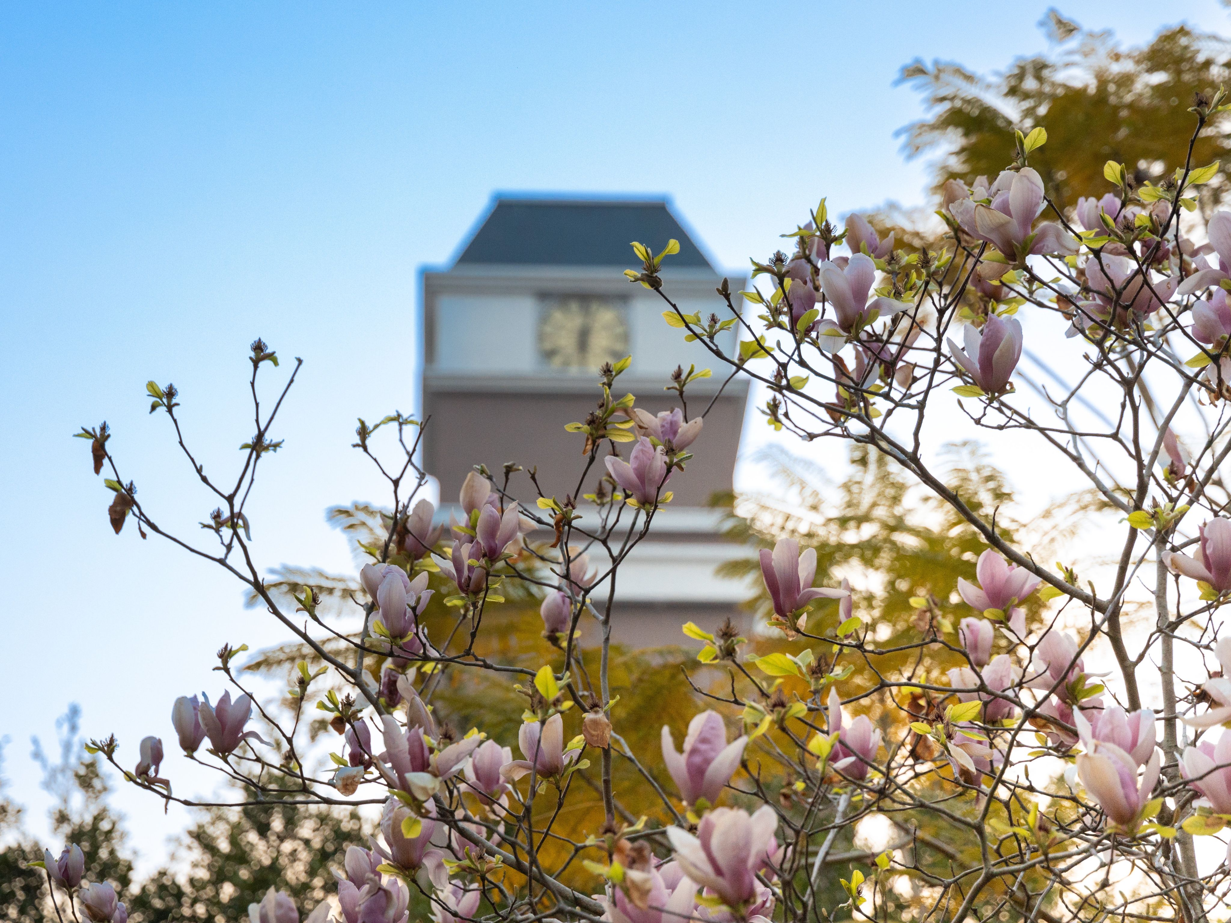 风韵犹存熟妇一区二区三区