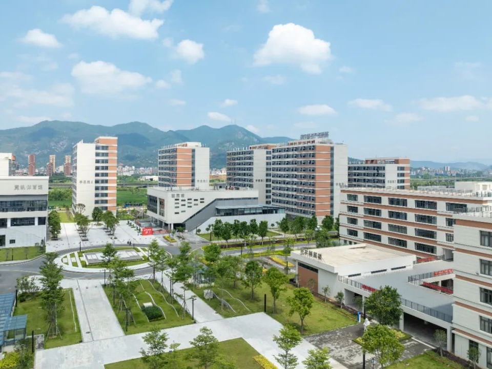 风韵犹存熟妇一区二区三区