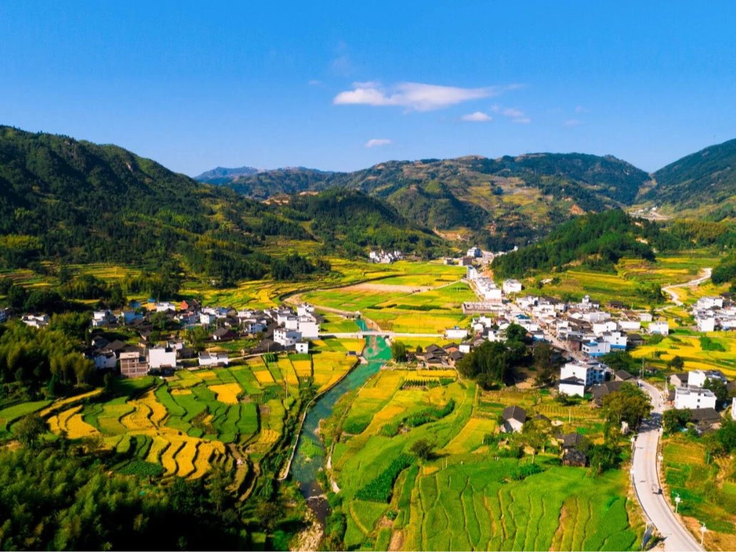 风韵犹存熟妇一区二区三区