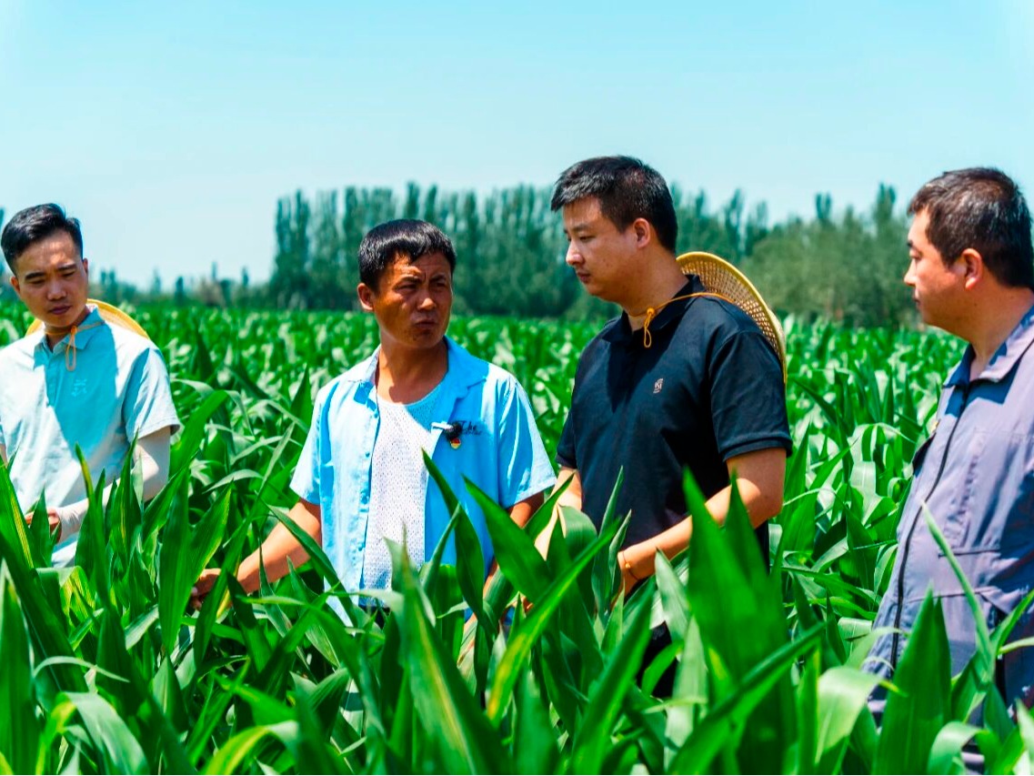 风韵犹存熟妇一区二区三区