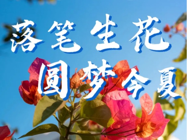 风韵犹存熟妇一区二区三区