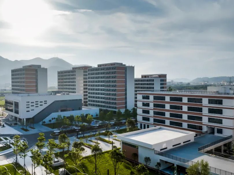 风韵犹存熟妇一区二区三区