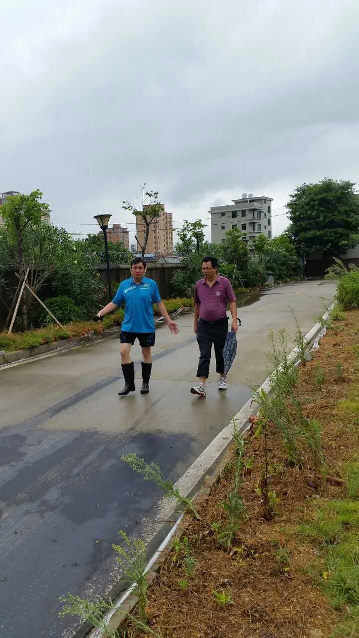 风韵犹存熟妇一区二区三区