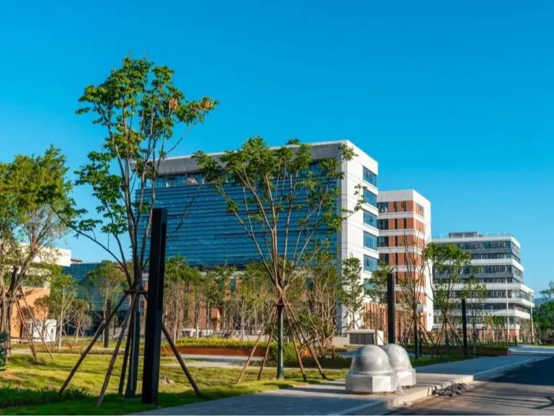 风韵犹存熟妇一区二区三区