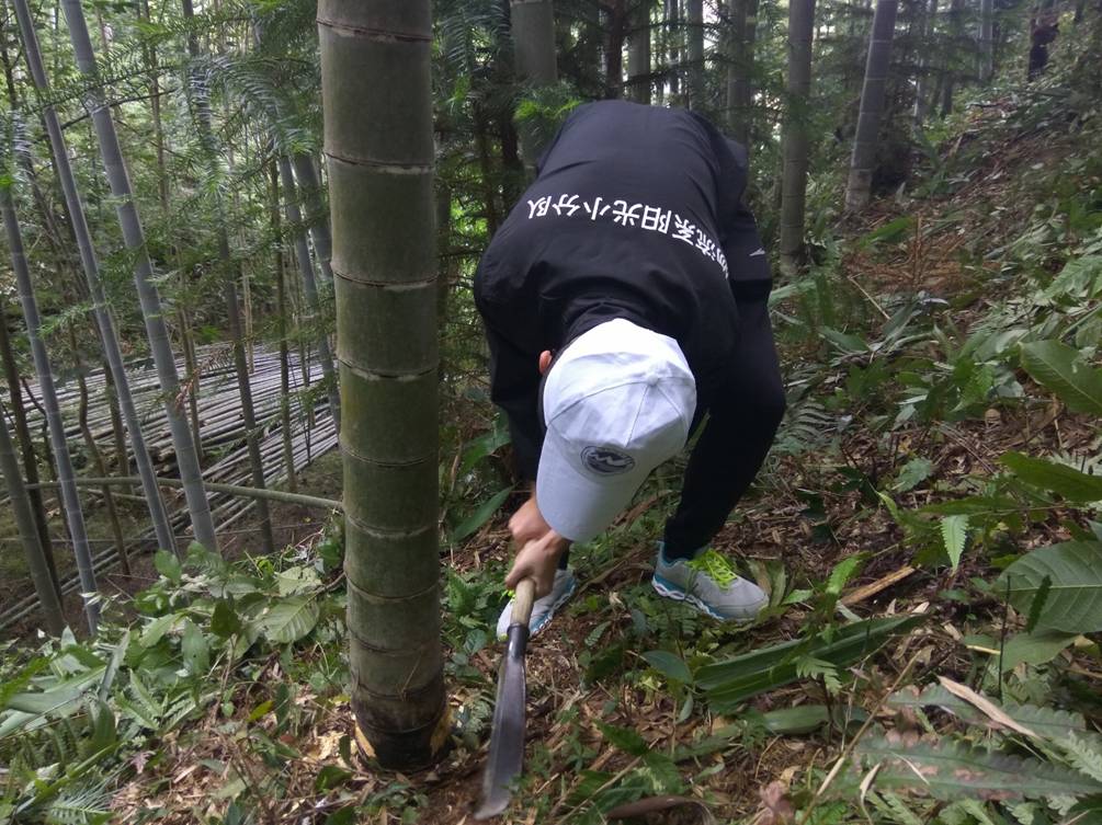 风韵犹存熟妇一区二区三区