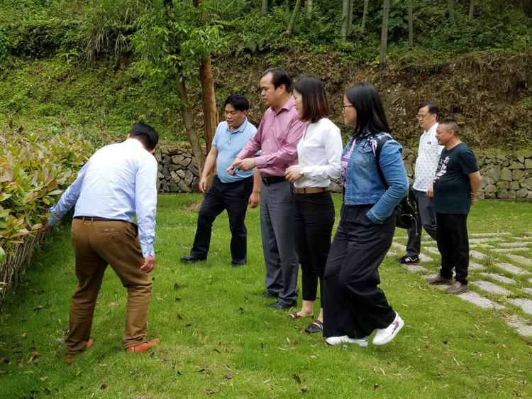 风韵犹存熟妇一区二区三区