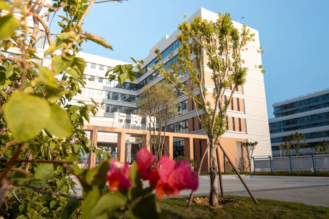 风韵犹存熟妇一区二区三区