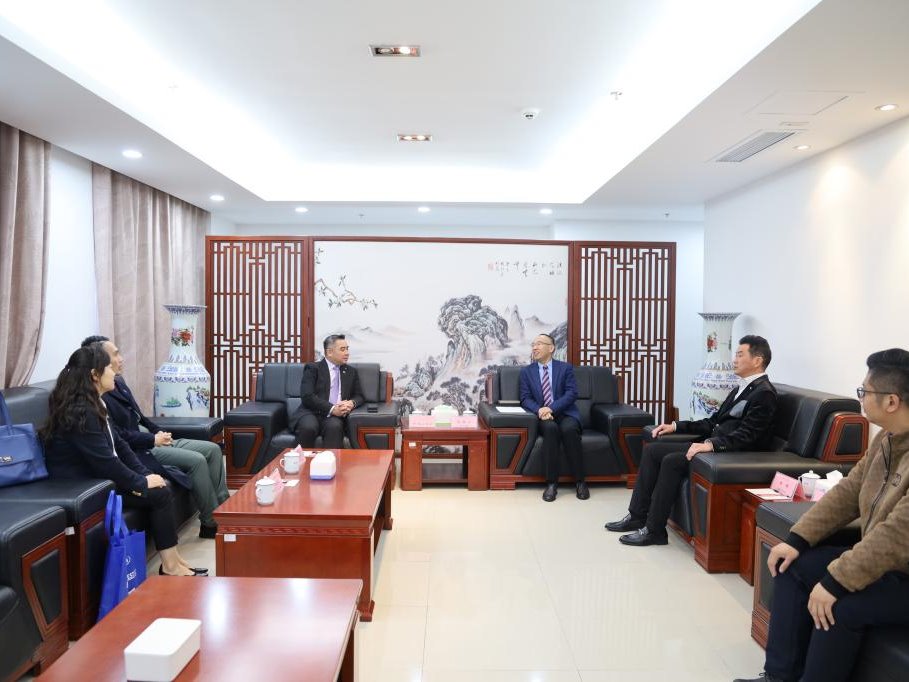 风韵犹存熟妇一区二区三区