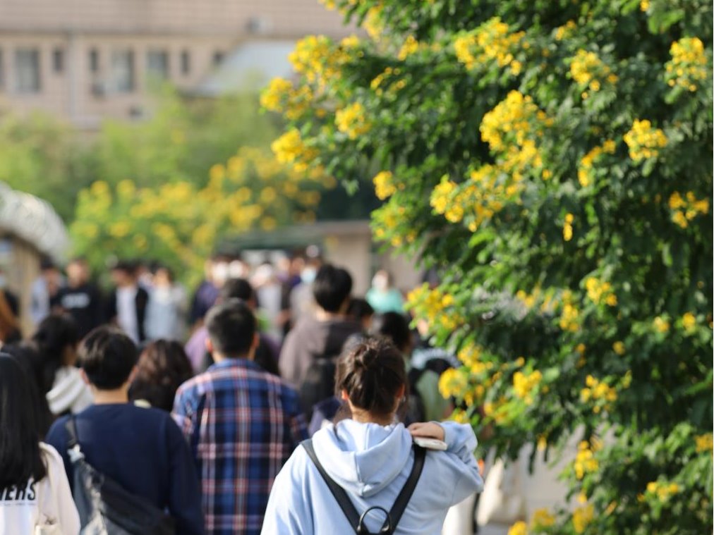 风韵犹存熟妇一区二区三区