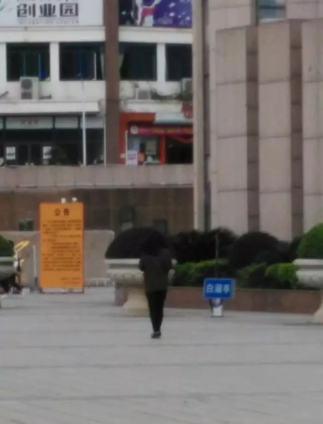 风韵犹存熟妇一区二区三区