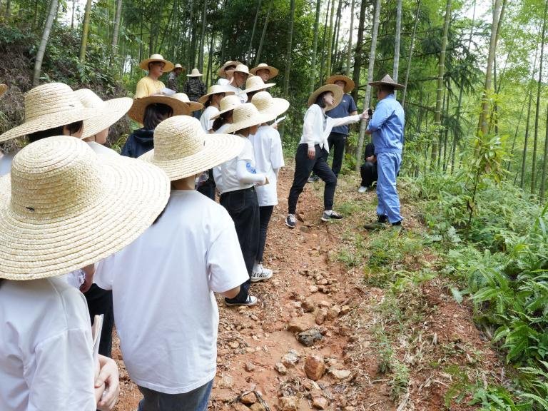 风韵犹存熟妇一区二区三区