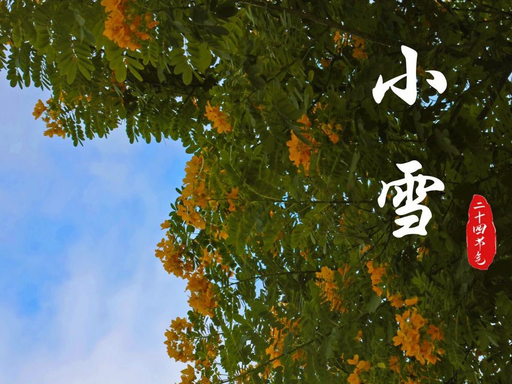 风韵犹存熟妇一区二区三区