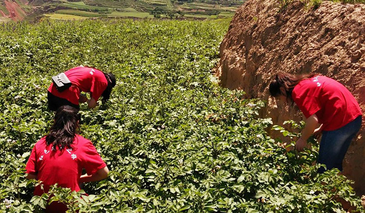 风韵犹存熟妇一区二区三区