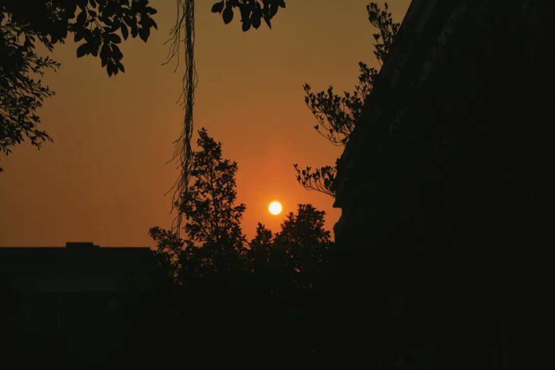 风韵犹存熟妇一区二区三区
