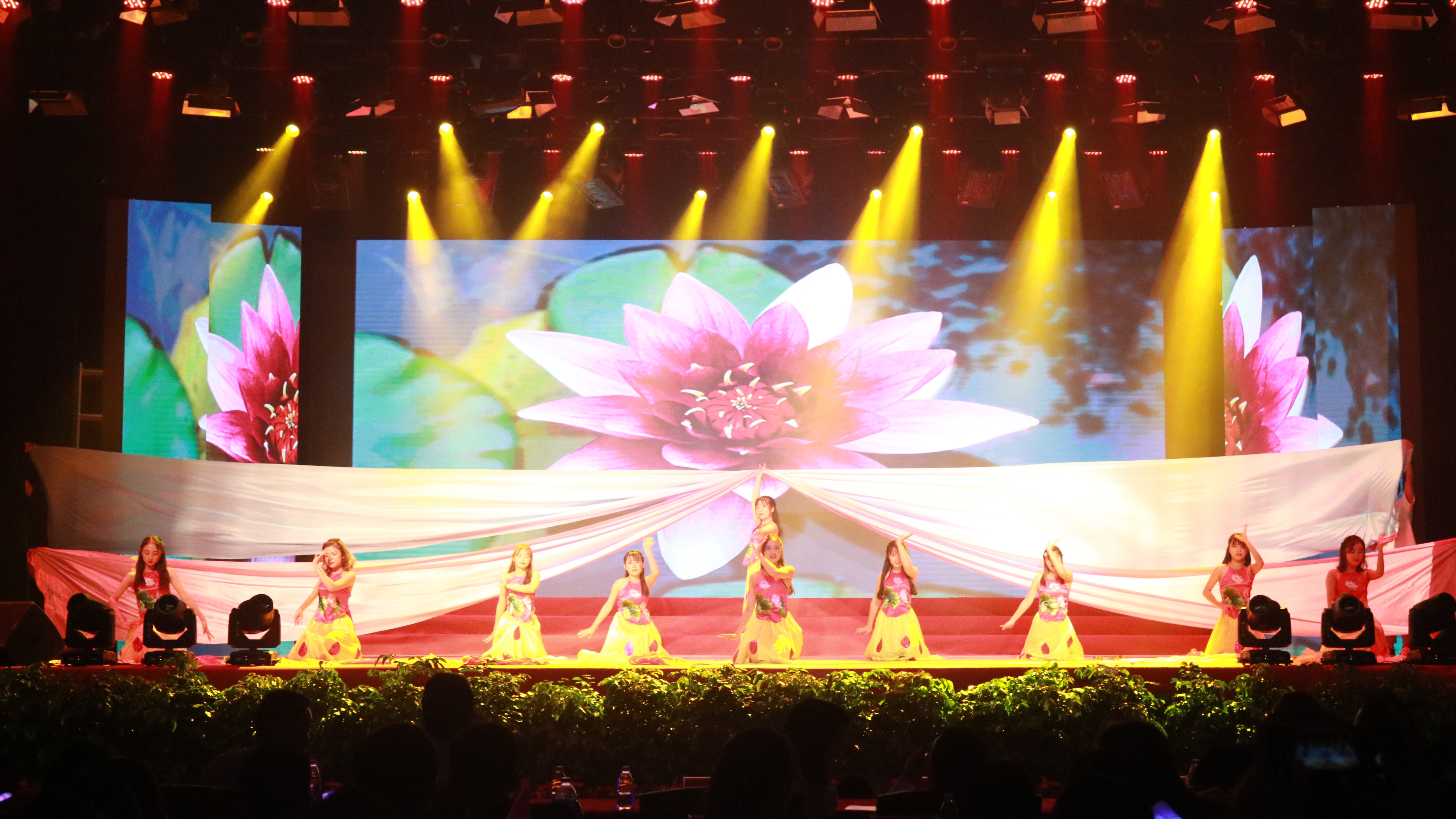 风韵犹存熟妇一区二区三区